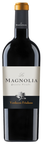 Magnolia, Verduzzo Bianco Friulano